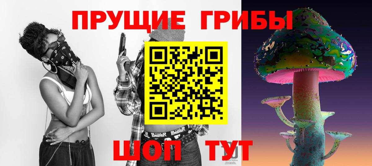 Семилуки  Псилоцибиновые грибы Cubensis  Вход с VPN 