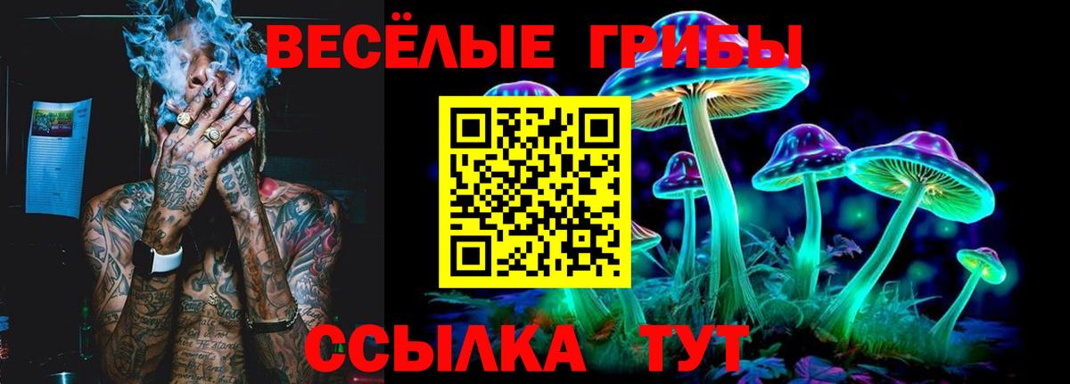 Псилоцибиновые грибы Cubensis Семилуки